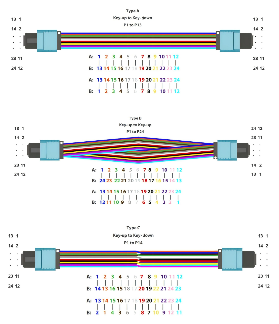 How much do you know about MPO MTP fiber cable?