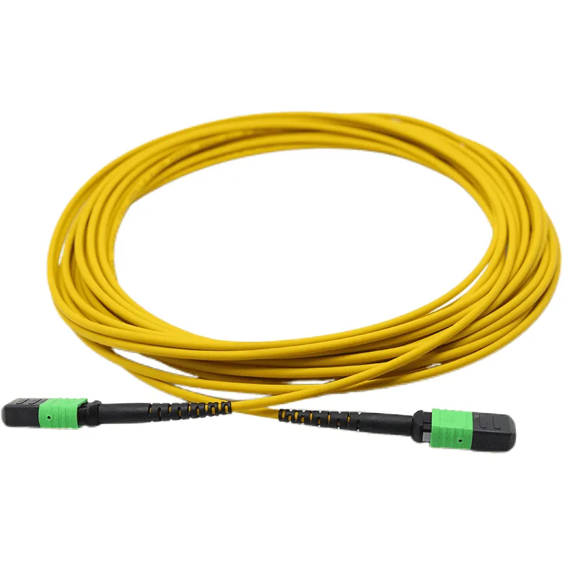 MPO Jumper 12 fibers SM-01
